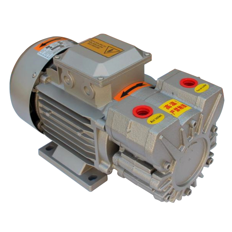 V10 single-stage oil-free rotary vane vacuum pump